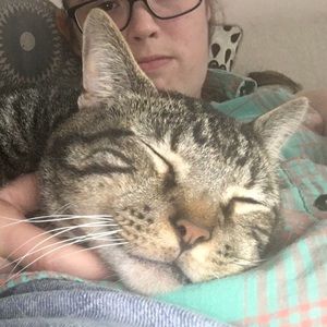 Meet your Posher, Daniel